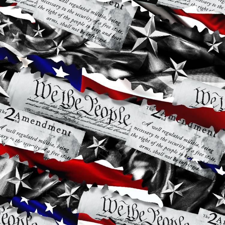 Torn Second Amendment 22