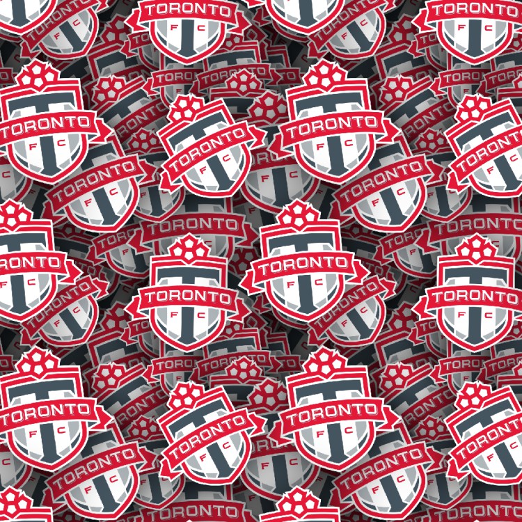 Toronto FC 22
