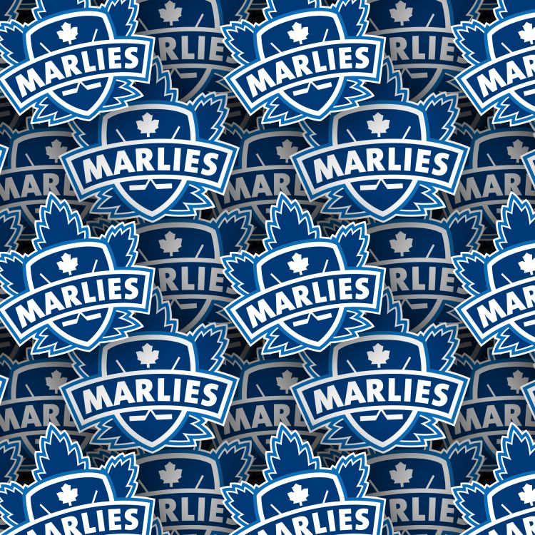 Toronto Marlies 22