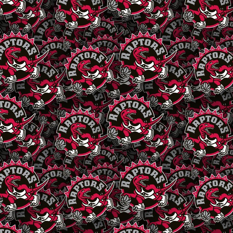 Toronto Raptors 24