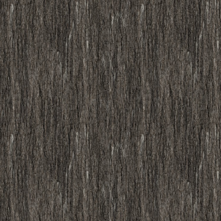 Tree Bark 22