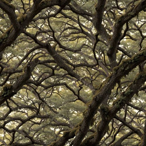 Tree Stand Camo 25