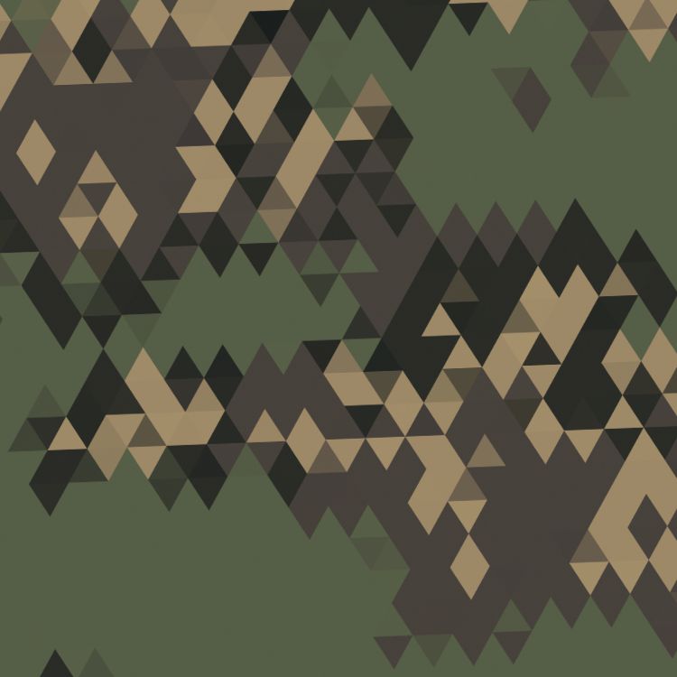 Triangles 23 Camouflage