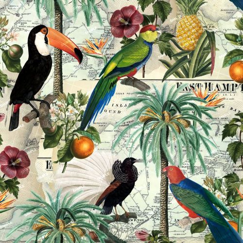 Tropical BIrd Map 42