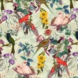 Tropical-Birds-23