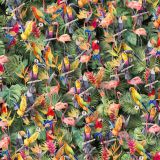 Tropical-Flora-and-Fauna-22