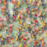 Tropical-Flora-and-Fauna-23