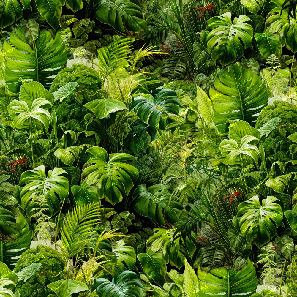 Tropical Paradise 43