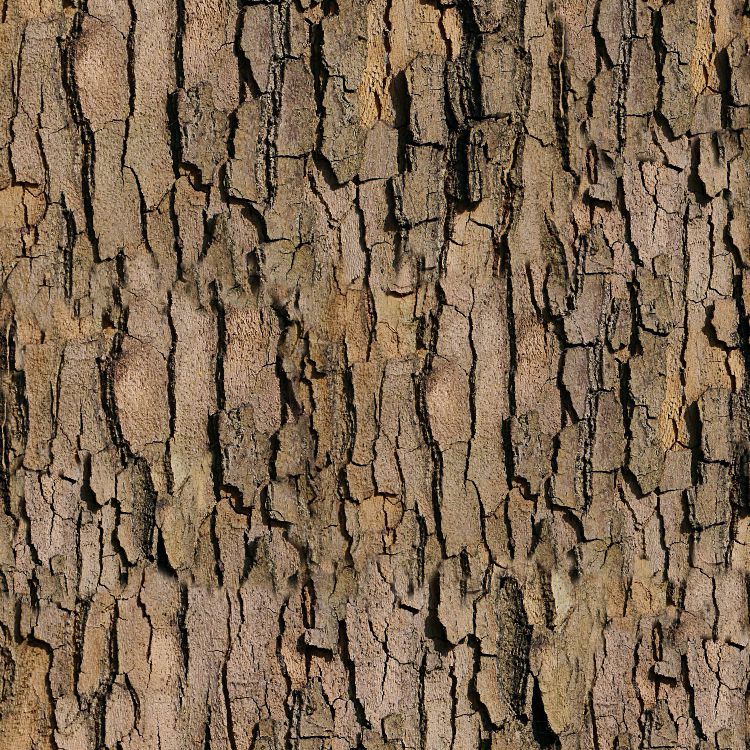 True Bark 25
