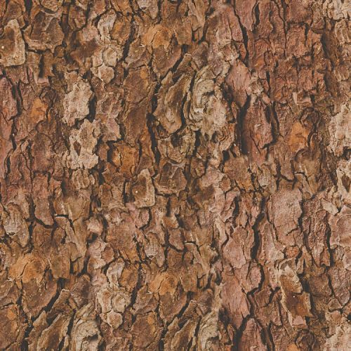 True Bark 26