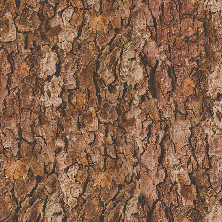 True Bark 26