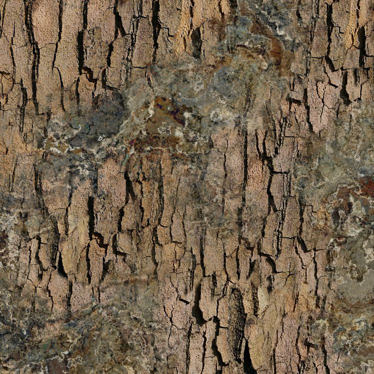 True Bark 27
