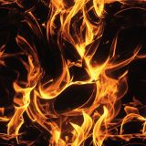 True-Fire-42