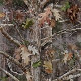True-Timber-Kanati-Camo.jpg