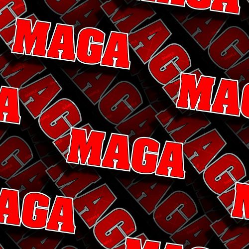 Trump MAGA 22