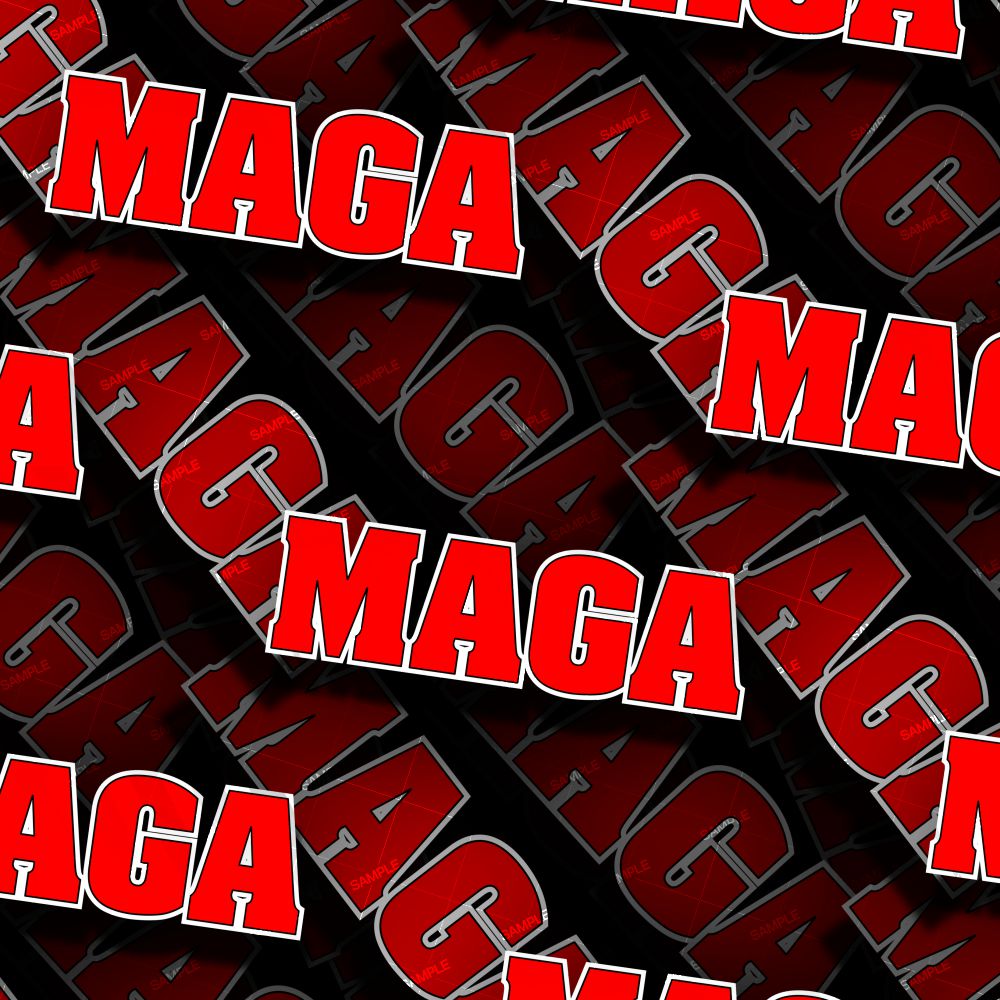 Trump MAGA 22