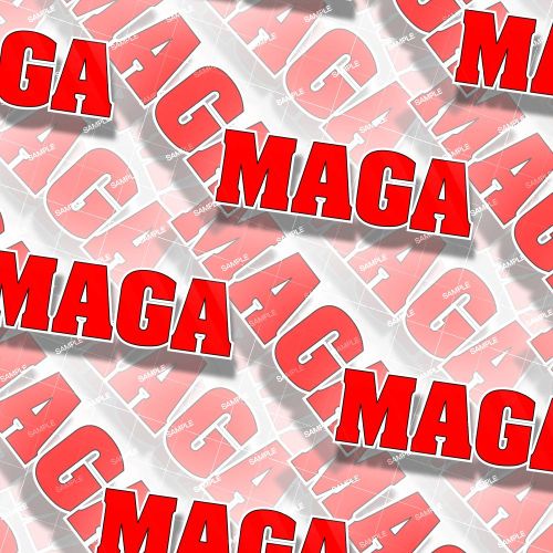 Trump MAGA 23