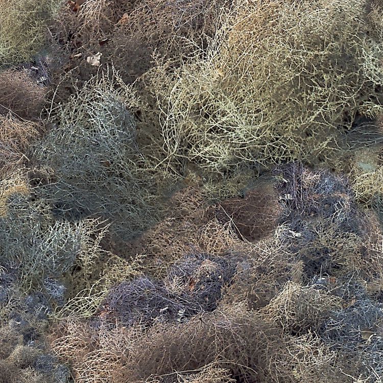 Tumbleweed 22 Camouflage