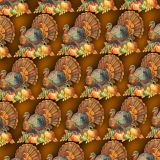 Turkey-Day-21