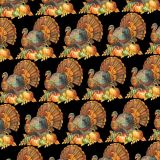 Turkey-Day-22