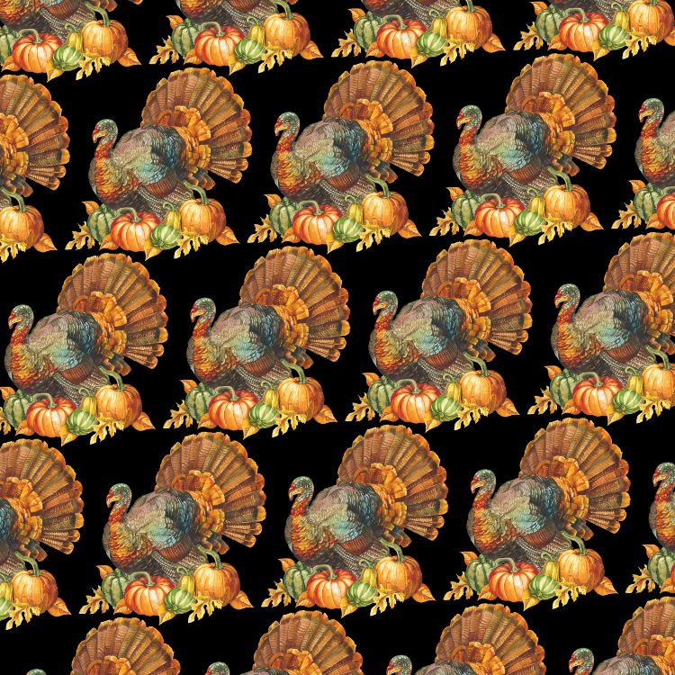 Turkey Day 22