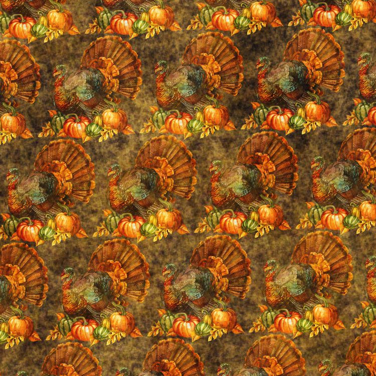 Turkey Day 23