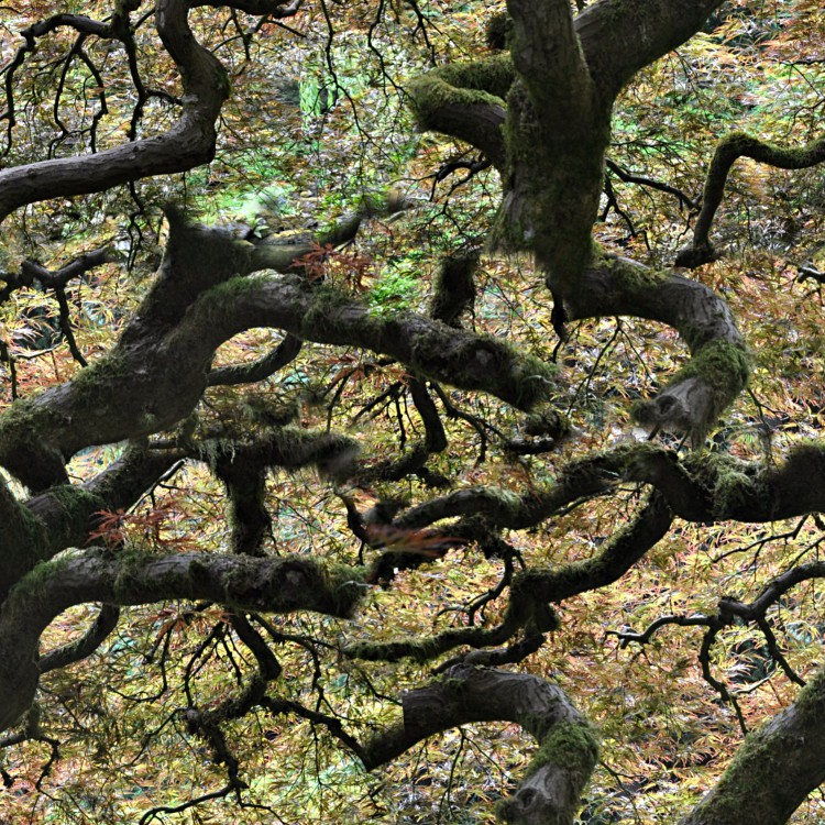 Twisted Forest