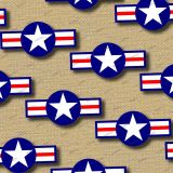 US-Air-Force-Symbol-21-1