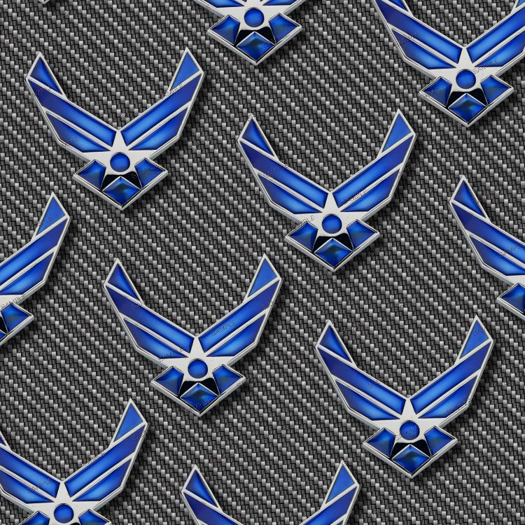 US Air Force Symbol 29