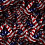 US-Cannabis-Flag-22