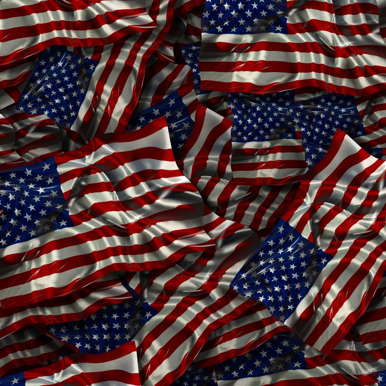 US Flag 32