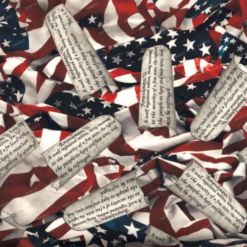 US Flags Constitution 22