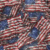 US-Glitter-Flag-23