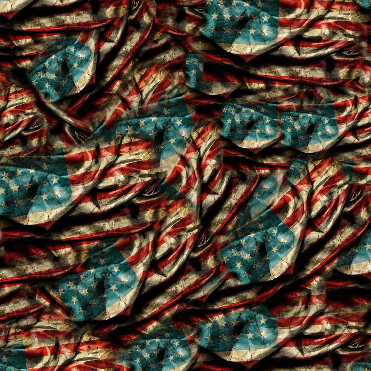 US Grunge Flag 32