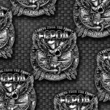 US-Navy-FCPOA-Emblem-23