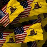 US-and-Gadsden-Tread-on-Me-Flags-22