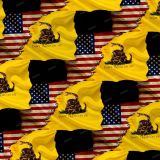US-and-Gadsden-Tread-on-Me-Flags-23