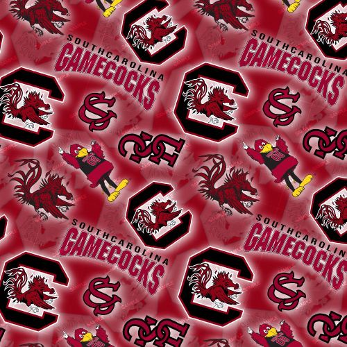 USC GameCocks 22