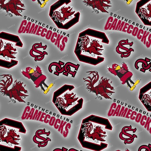 USC GameCocks 23