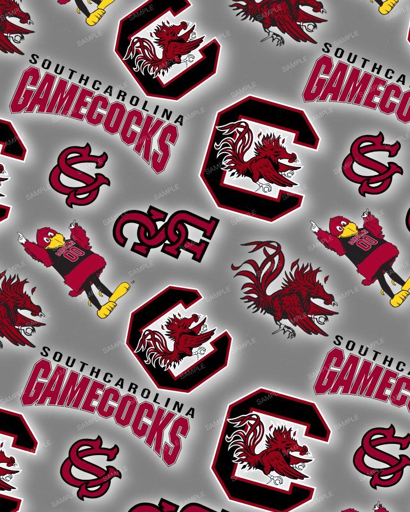 USC GameCocks 23