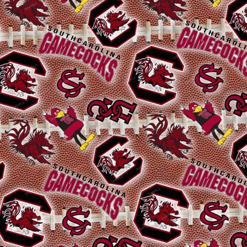 USC GameCocks 24