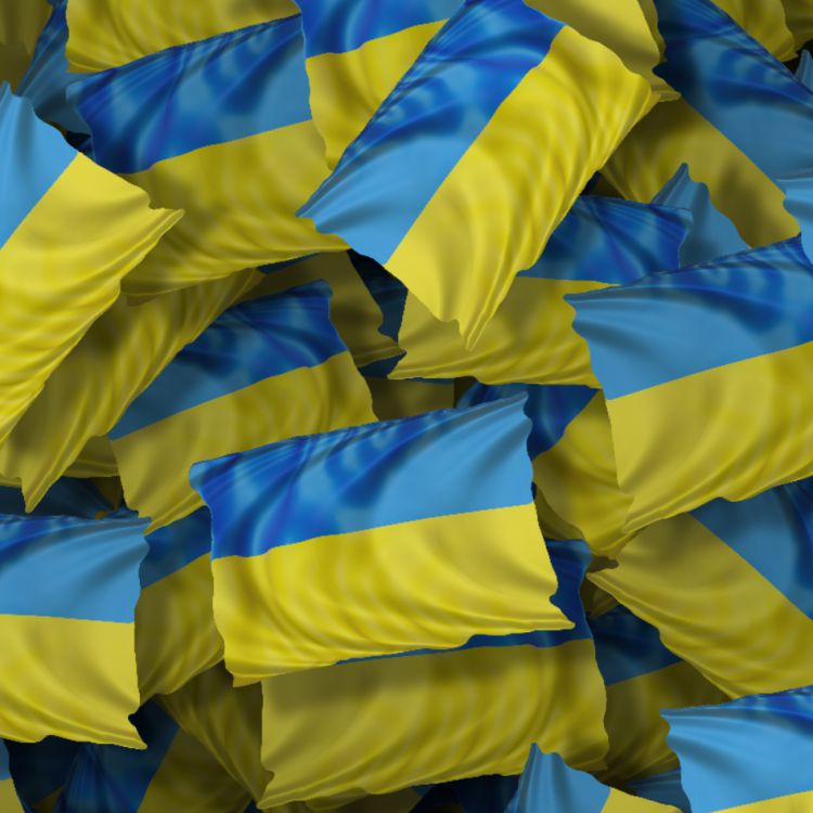 Ukrainian Flag 22