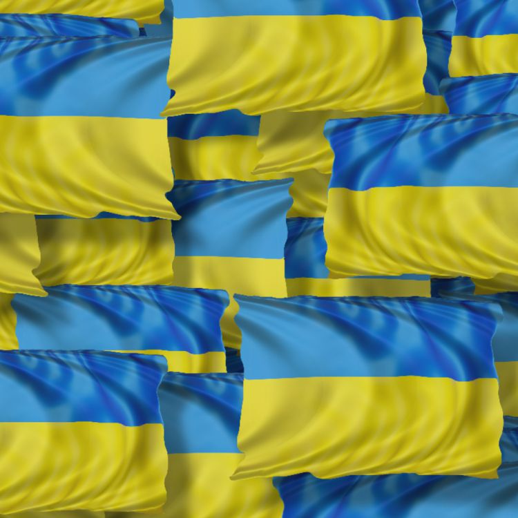 Ukrainian Flag 23