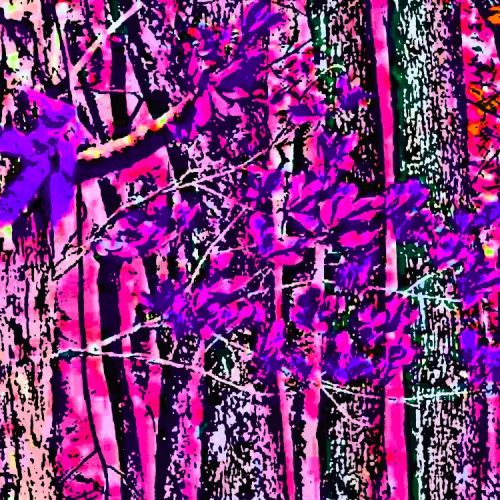 Unicorn Forest Camouflage