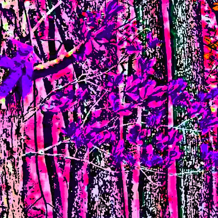 Unicorn Forest Camouflage