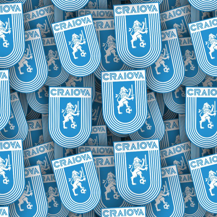 Universitatea Craiova