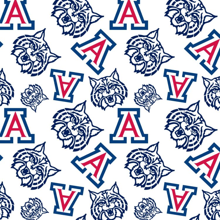 University of Arizona 23