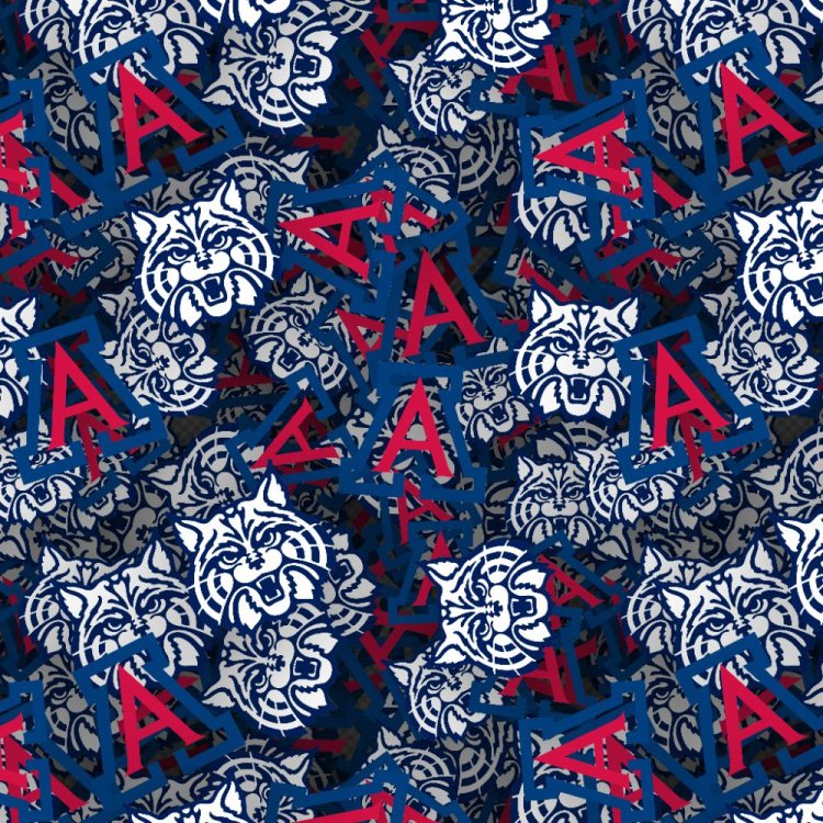 University of Arizona 24