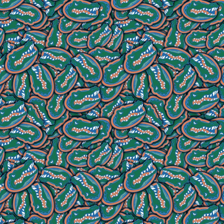 University of Florida Gators 22