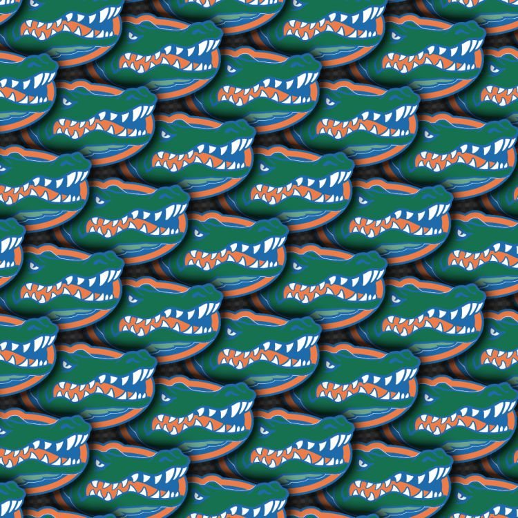 University of Florida Gators 23